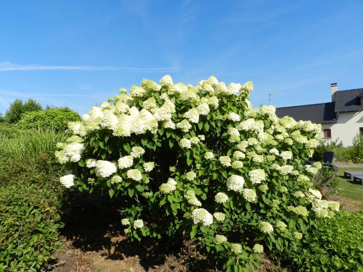 Gite La Grenouillere Esqueheries 外观 照片