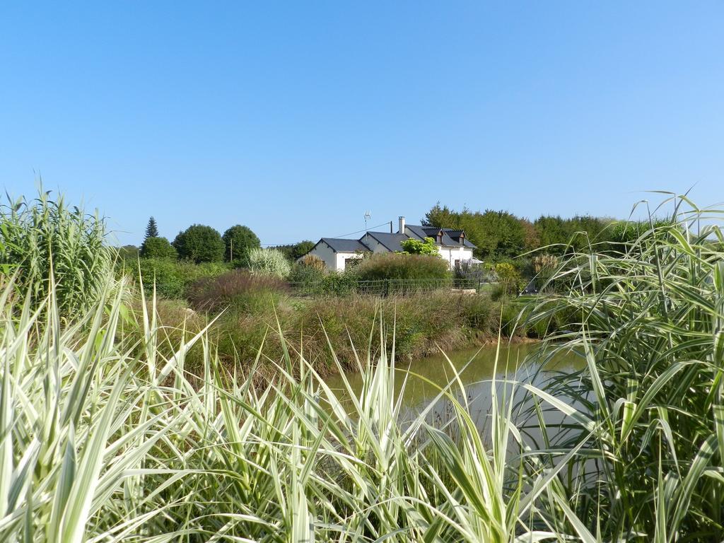 Gite La Grenouillere Esqueheries 外观 照片