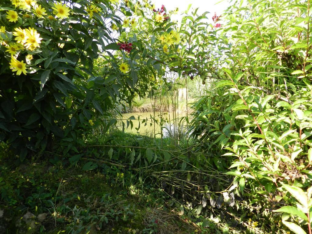 Gite La Grenouillere Esqueheries 外观 照片