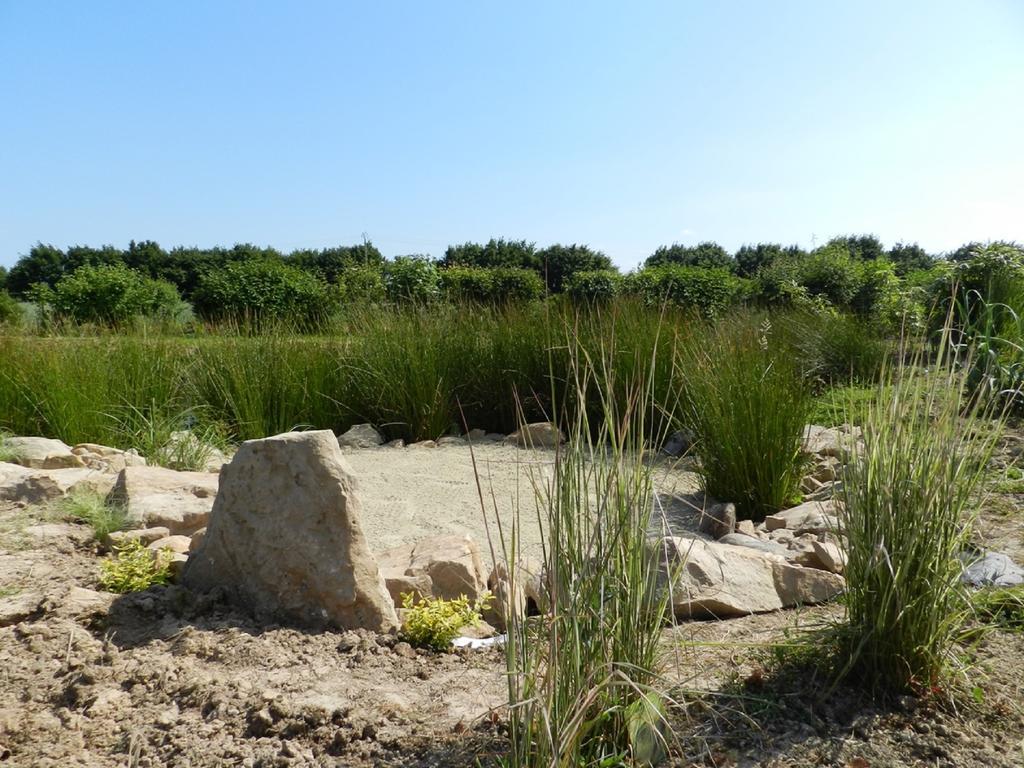 Gite La Grenouillere Esqueheries 外观 照片