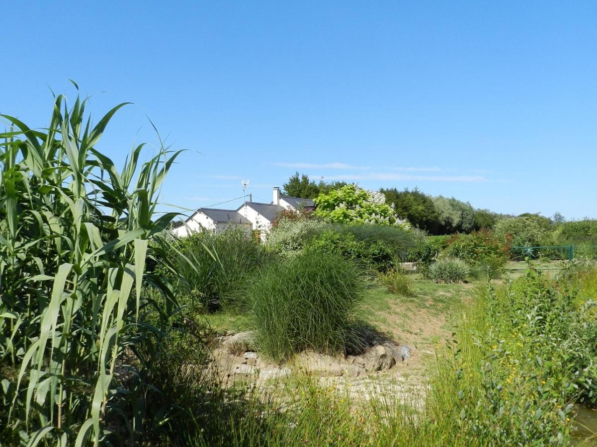 Gite La Grenouillere Esqueheries 外观 照片