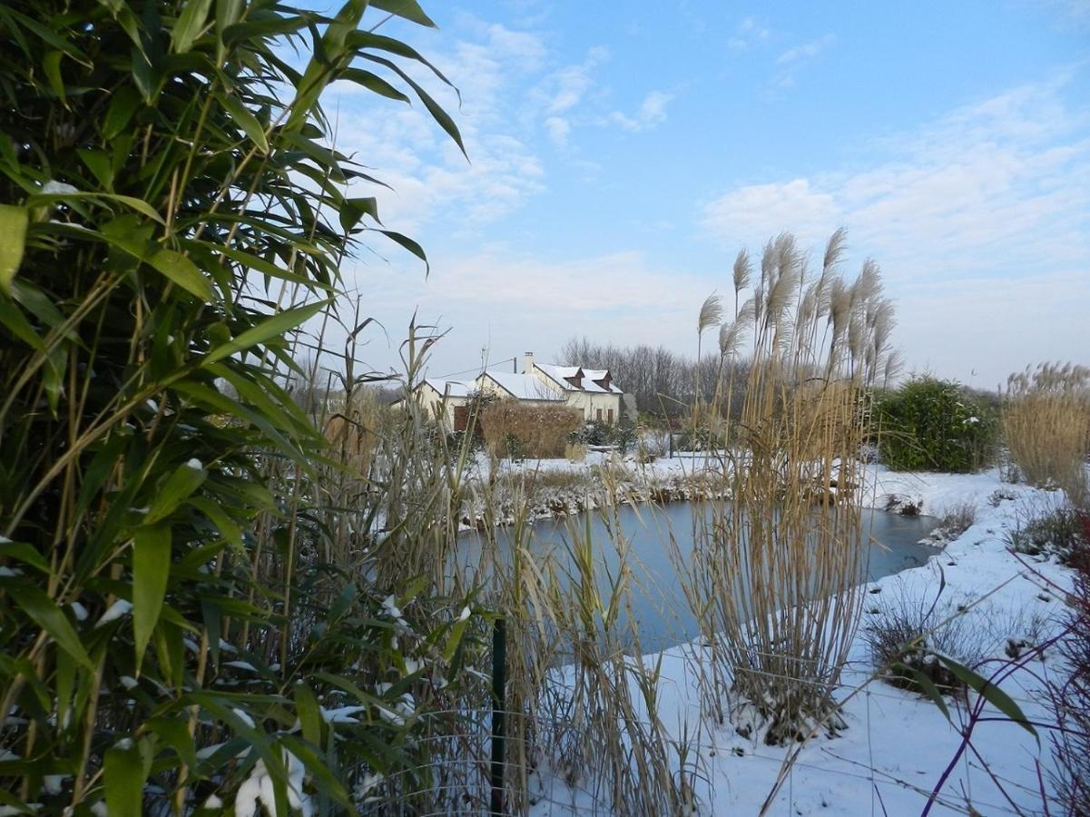 Gite La Grenouillere Esqueheries 外观 照片